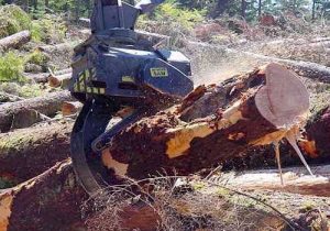 t-mar-grapple-saw.500x350p50x50-300x210